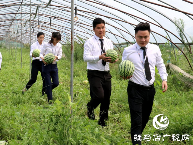 駐馬店天縱時代城：愛心助農認購西瓜 轉贈戶外工作者傳遞愛心