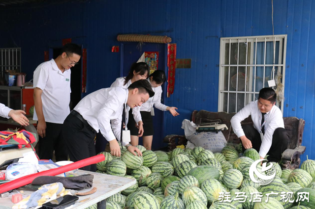 駐馬店天縱時代城：愛心助農認購西瓜 轉贈戶外工作者傳遞愛心