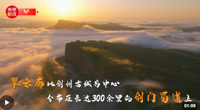 習近平四川行丨蜀道明珠——走進翠云廊