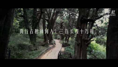 跟著總書記的考察足跡｜蜀道：見證中國人的奮進與執著