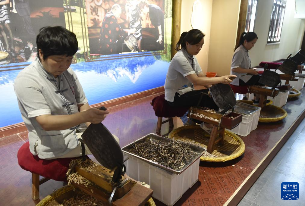 走進技藝傳習館 感受中藥材加工