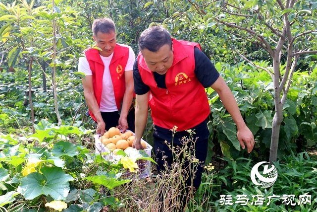 愛心企業助農 為一線工作者送清涼