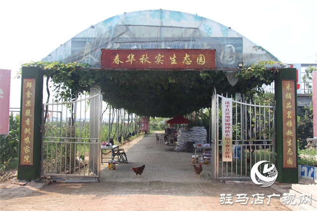 遂平縣陽豐鎮：綠色生態農業新模式 走出致富路