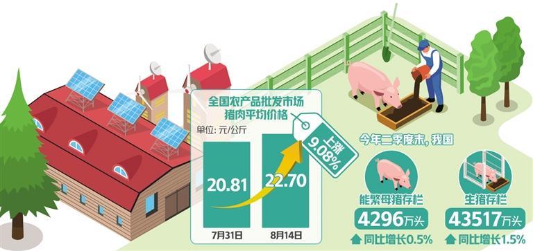 預計下半年豬肉供需總體平衡 豬價將在合理范圍內波動
