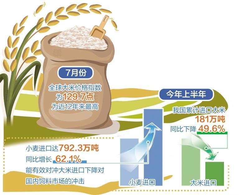 國際米價走高，對我國有影響嗎？