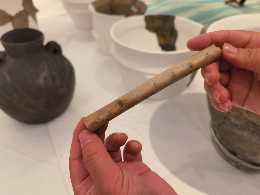 江蘇興化發現距今約7000年的新石器遺址