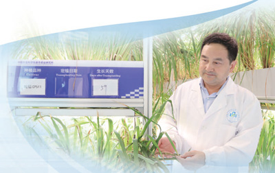 讓植物在工廠里拔節生長（講述·弘揚科學家精神）