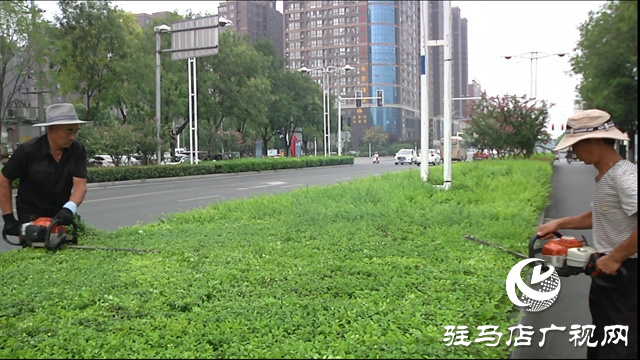 驛城區：扮靚城市環境 喜迎八方賓客