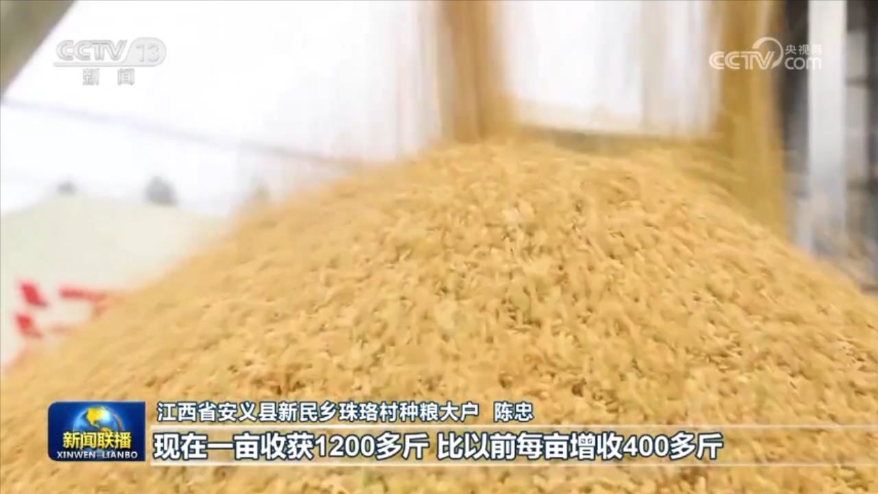 各糧食主產區分類施策 夯實秋糧豐收基礎