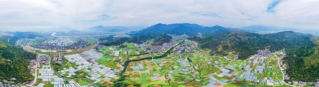 鄉村振興在行動丨以智提質 鄉村“生金”