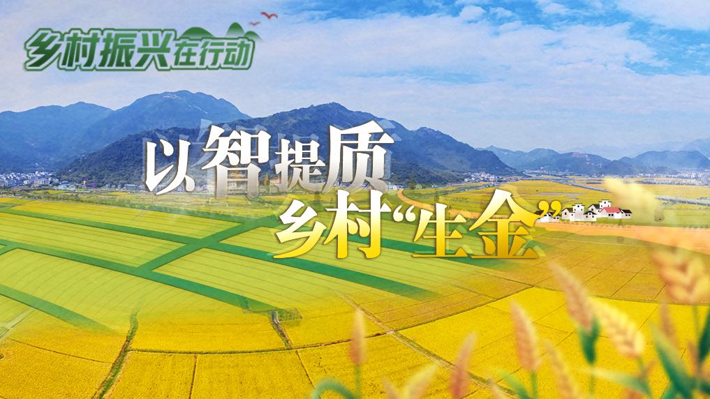 鄉村振興在行動丨以智提質 鄉村“生金”