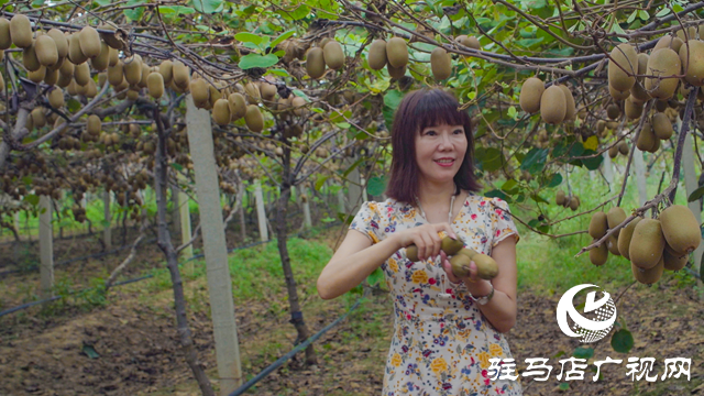 以農加會為媒 山中小果實走進大都市