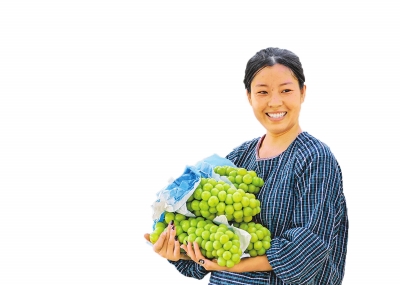 “陽光玫瑰”能否繼續“陽光燦爛”——一串葡萄引發的思考