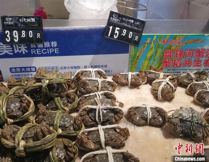 你吃大閘蟹了嗎？降價了，便宜的一只不到10元