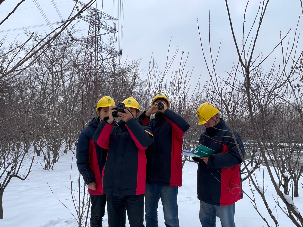 寒潮降雪來襲 多地多措并舉保民生