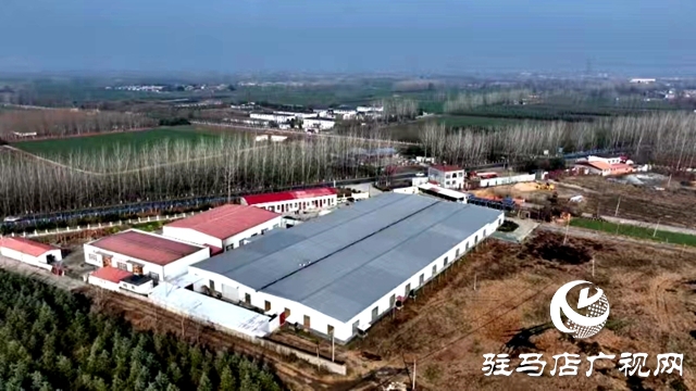 出彩新農人||李猛：退伍軍人變身“鴨司令” 蛋鴨養殖助力鄉村振興