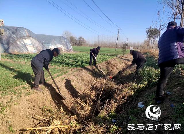 西平縣宋集鎮：轄區環境大清潔 創建生態宜居星