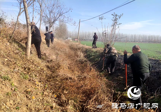 西平縣宋集鎮：轄區環境大清潔 創建生態宜居星