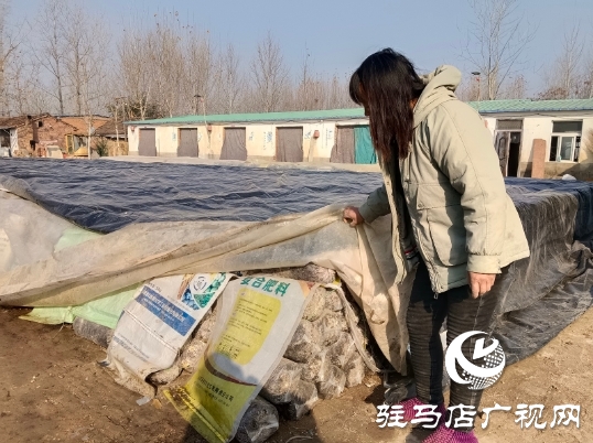 正陽縣：“五星”聚心 打造宜居宜業和美鄉村