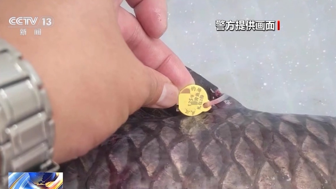 一條魚價值60萬元？釣魚場變“賭場” 警方抓獲86人