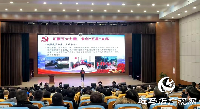 驛城區委組織部舉行“五星”亮賽評暨支部書記大比武決賽