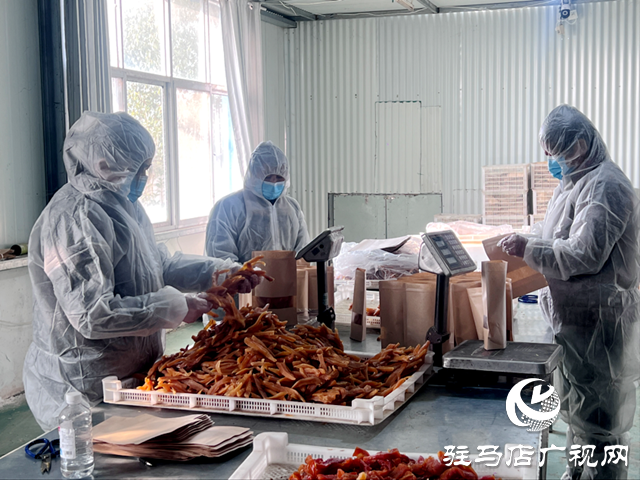 確山縣瓦崗鎮：小紅薯成為群眾增收的 “金疙瘩”