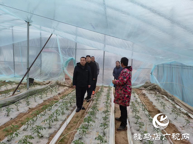 新蔡縣頓崗鄉做好低溫雨雪冰凍天氣安全防范工作