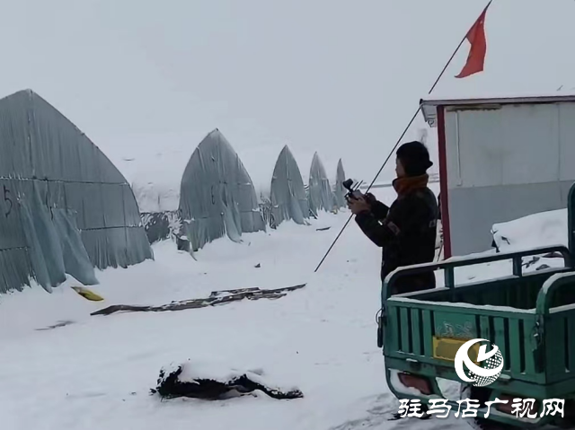 無人機助力農業大棚除雪