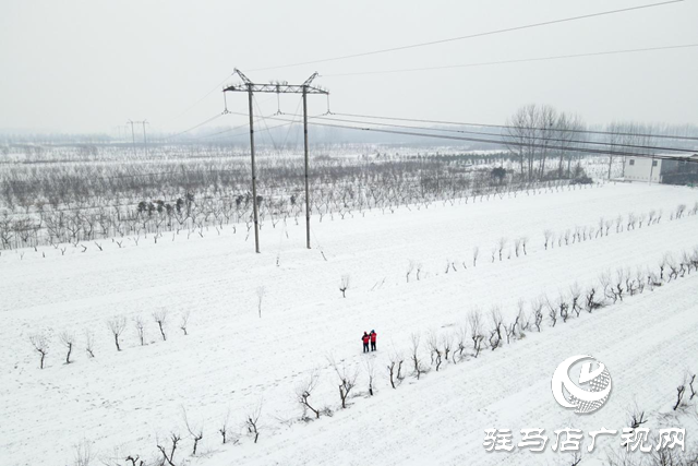 國網平輿縣供電公司：戰風雪 破堅冰 打贏春節保電攻堅戰