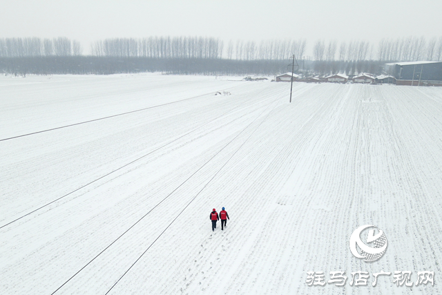 國網平輿縣供電公司：戰風雪 破堅冰 打贏春節保電攻堅戰
