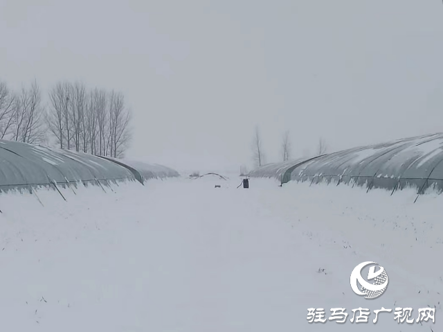 無人機助力農業大棚除雪