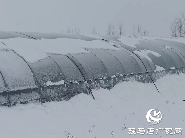 無人機助力農業大棚除雪