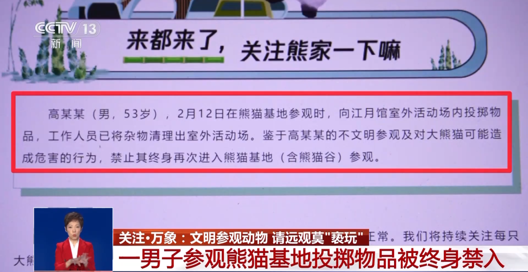 又有游客被終身禁入，為什么不能隨意投喂大熊貓？