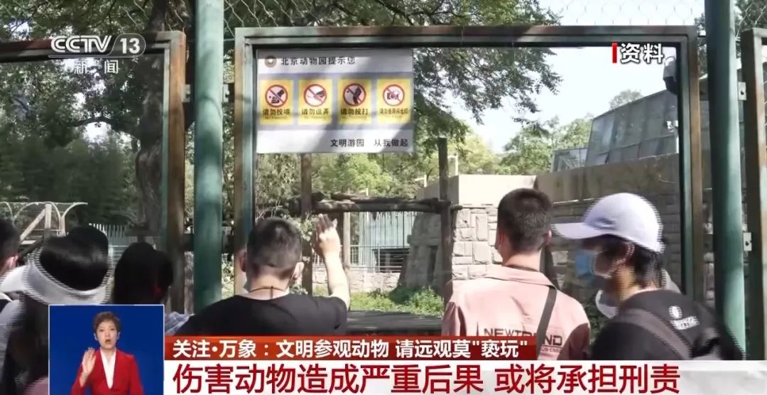 又有游客被終身禁入，為什么不能隨意投喂大熊貓？