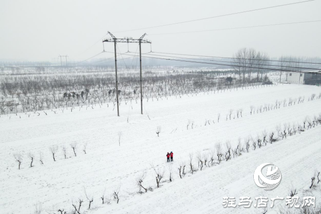 國網平輿縣供電公司：踏雪破冰護電網  寒潮逆行保民生