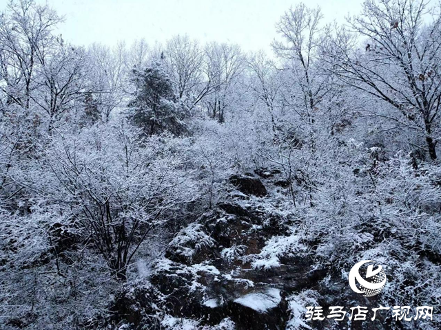 大雪來襲! 駐馬店市多個景區臨時關閉