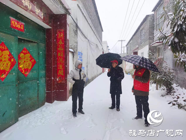 駐馬店市關王廟鄉：暴雪天氣隱患排查  消除隱患解民憂