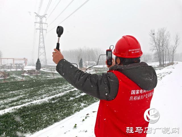 國網平輿縣供電公司：踏雪破冰護電網  寒潮逆行保民生