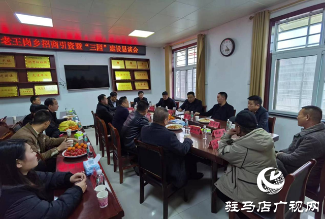 平輿縣老王崗鄉招商引資暨“三園”建設懇談會召開