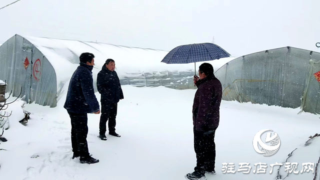 汝南縣張樓鎮：線上線下聯動保安全