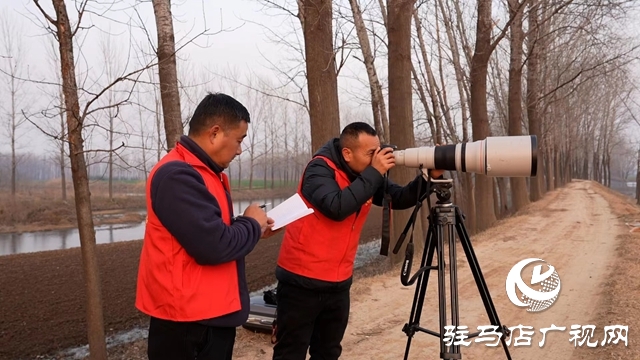 寒冬，他們在宿鴨湖濕地守護候鳥