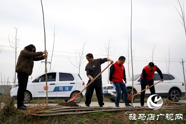 新蔡縣河塢鄉：植樹添新綠 鄉村“靚”起來