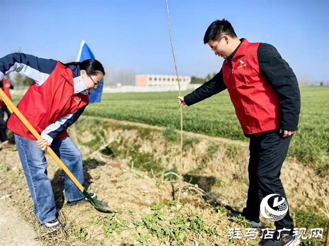 驛城區水屯鎮開展志愿植樹活動