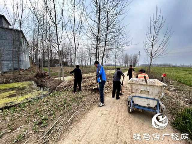 新蔡縣河塢鄉：人居環境齊整治 和美鄉村煥新顏