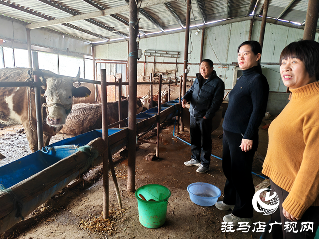平輿縣玉皇廟鄉：小額信貸 “貸”動鄉村振興