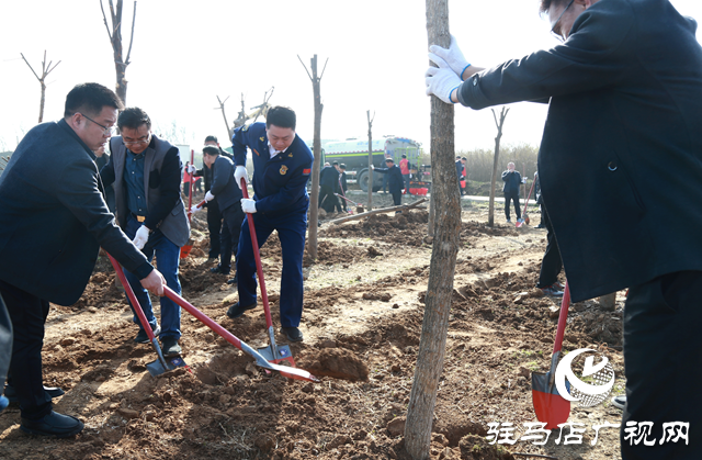 驛城區：植樹添新綠 不負好春光