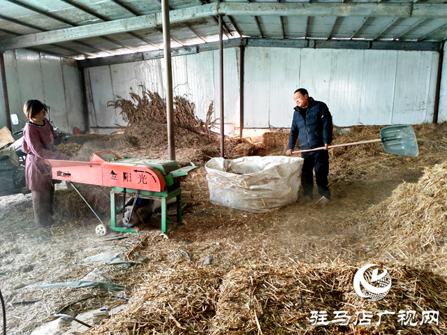 平輿縣玉皇廟鄉：小額信貸 “貸”動鄉村振興