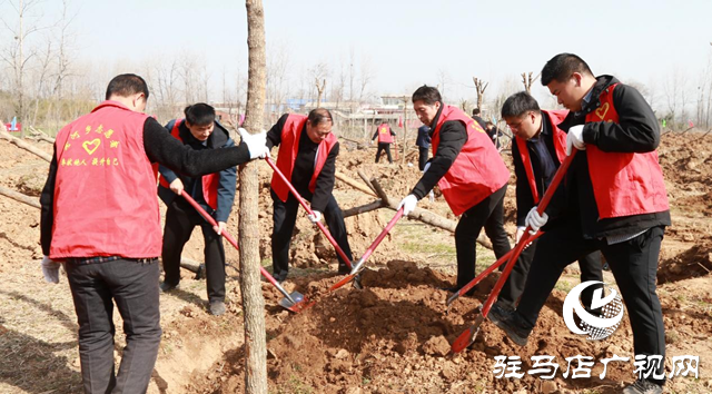 驛城區：植樹添新綠 不負好春光