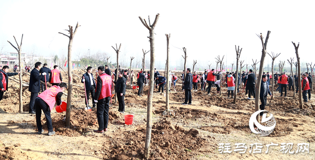 驛城區：植樹添新綠 不負好春光