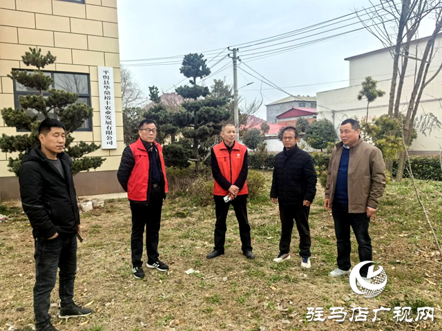 平輿縣科技小院專家組開展科技志愿服務活動